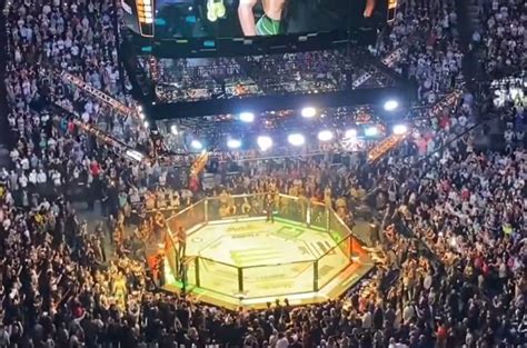 Alexa Grasso Vs Valentina Shevchenko 2 UFC Fight Night Showdown Booked