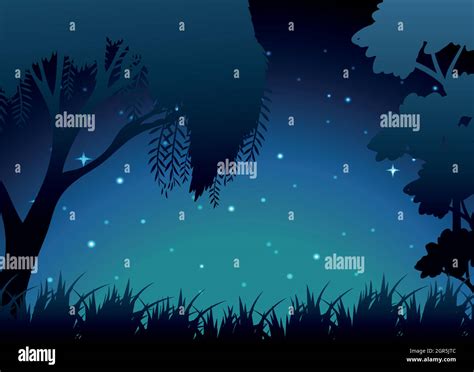 Scene Of Forest At Night Stock Vector Image And Art Alamy