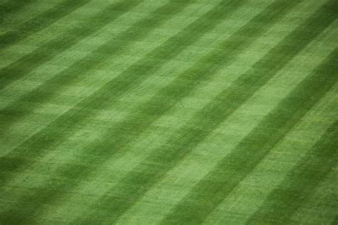 Baseball Stadium Grass Stock Photo Download Image Now Istock