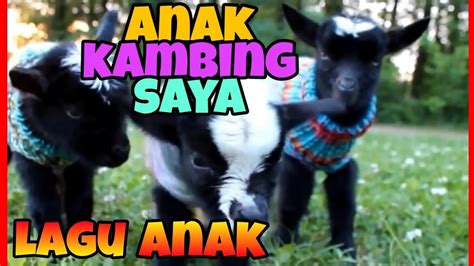 Indir, are you proud to be a malaysian? Lagu Anak Kambing Saya ~ Lagu Anak Populer - YouTube