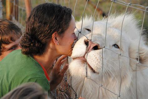 20 Amazing Albino Animals