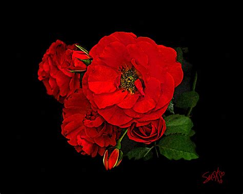 Paintings Of Artists Original Unusual Art Painting Of Red Roses