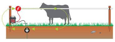 Wiring diagram for electric fence diagram base website electric fence. Essential Accessories - Earth Stake or Earth Rod | Electric Fencing Direct