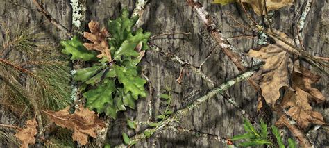 Free Download Obsession Mossy Oak 1440x650 For Your Desktop Mobile
