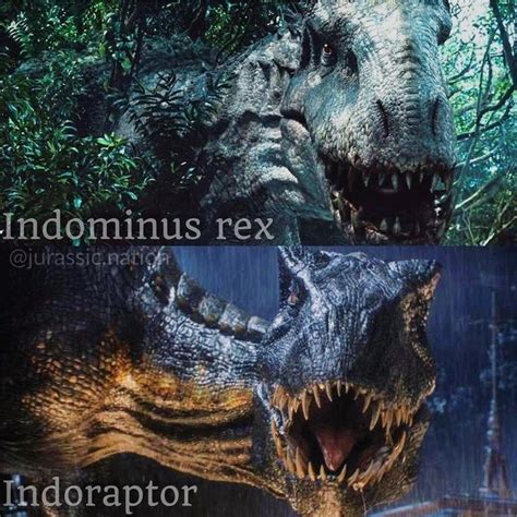 Jurassicparkgreat På Instagram Indominus Or Indoraptor Thank