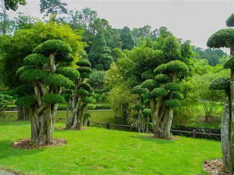 Taman botani perdana), formerly known as lake gardens, is located right west of the old city center. Lake Gardens Kuala Lumpur - Best Things to Do & See