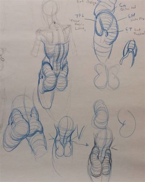 Male Figure Drawing Figure Sketching Figure Drawing Reference