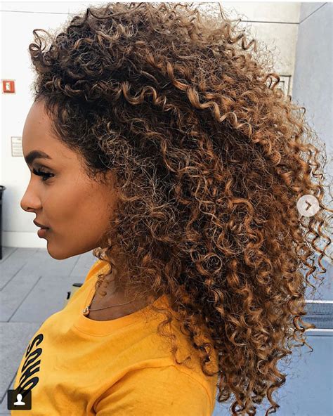 Pin By Bella On Natural Hair Curly Hair Styles Curly Hair Styles Naturally Highlights Curly Hair