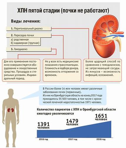 Диета для почечная недостаточность Почечная Недостаточность Симптомы Диета — Похудение Диета Правильное Почечная Недостаточность Симптомы Диета — Похудение Диета Правильное Диета для почечная недостаточность