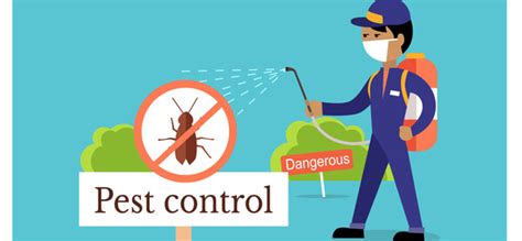 Preventing Pests From Infesting Your Home Ikari Solution To Your