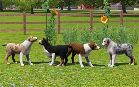 Mod The Sims 4 Improved Australian Shepherds
