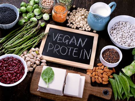 Adopting A Plant Based Lifestyle Best Vegan Protein Options