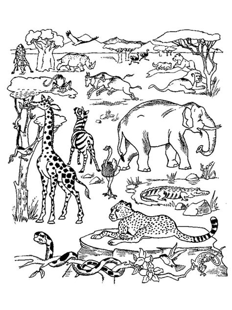 Wild African Animals Coloring Page