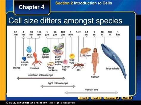 Cell Biology Ppt