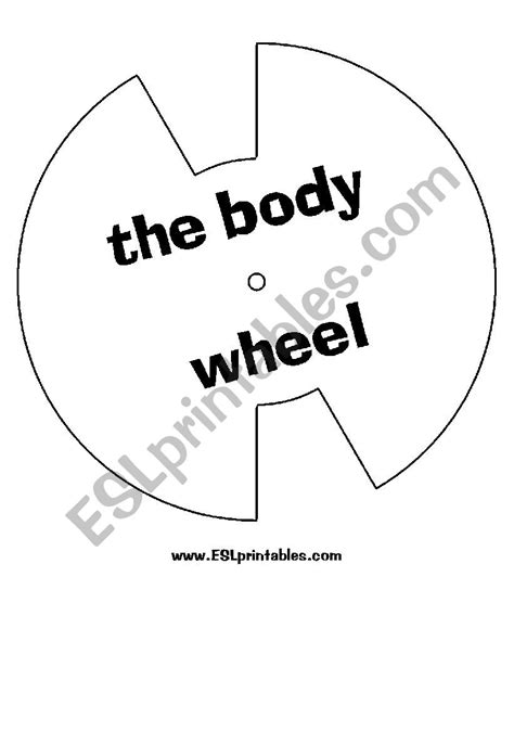 The Body Wheel Esl Worksheet By Victor