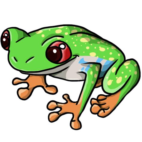 Tree Frog Drawing Clipart Best