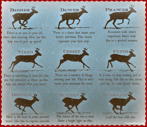 Taking a stab in the dark: Divining with Reindeer - CarrieParis.com | Reindeer names ...