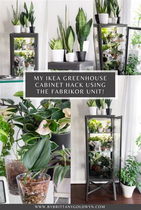 See more ideas about diy greenhouse, greenhouse, greenhouse plans. How to hack an Ikea glass cabinet to make a greenhouse!