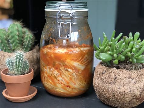 Kimchi Zelf Maken Makkelijk En Lekker Familie Over De Kook