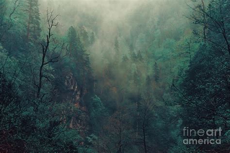 Beautiful Mystical Landscape Fog Photograph By Poprotskiy Alexey