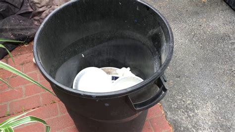 Somebody Pooped In Our Garbage Can Youtube