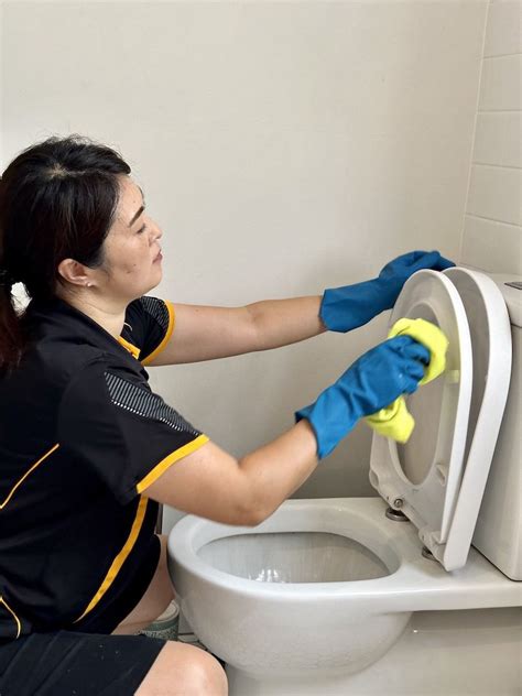 how to clean a toilet maid2match