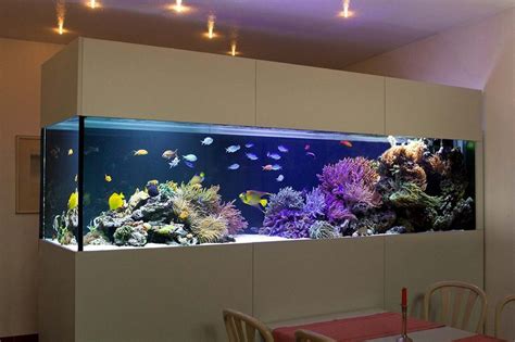 Acuarios Grandes Recatangulares Wall Aquarium Fish Tank Wall Aquarium