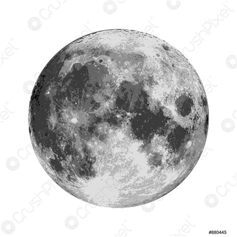 Realistic Full Moon Astrology Or Astronomy Planet Design Vector Stock