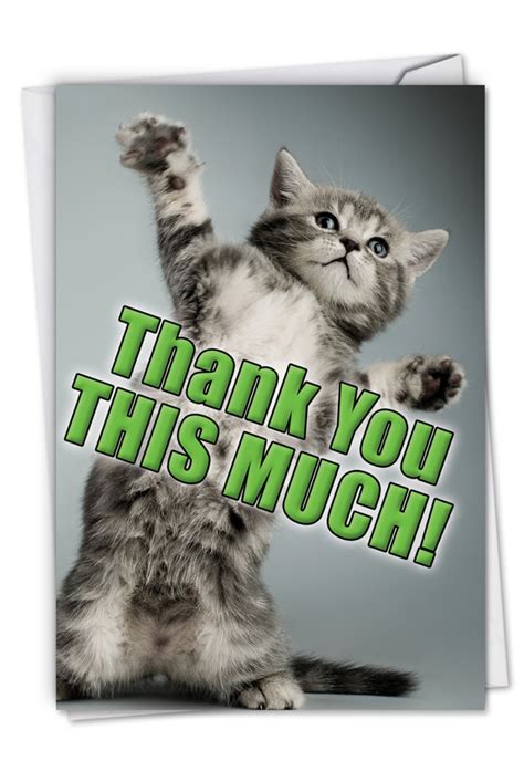 With tenor, maker of gif keyboard, add popular thank you meme animated gifs to your conversations. This Much Kitten Petigreet Thank You Card