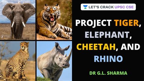 Project Tiger Elephant Cheetah And Rhino Environmental And Ecology