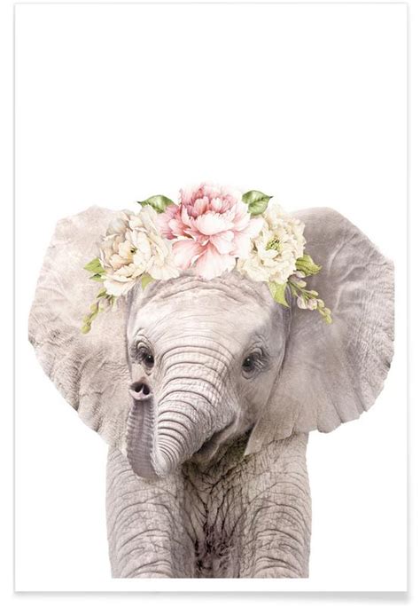 Floral Baby Elephant Poster Juniqe