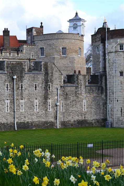 Free Images Meadow Flower Building Chateau Old Green Castle