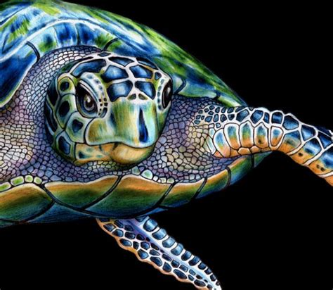 Sea Turtle Colored Pencil Drawing 1 Etsy In 2021 Sea Turtle Art