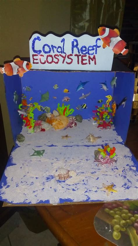 Coral Reef Ecosystem Ecosystems Projects Coral Reef Ecosystem