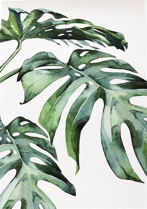Beautiful Tropical Leaves Watercolor House Plants Posters Fine Art