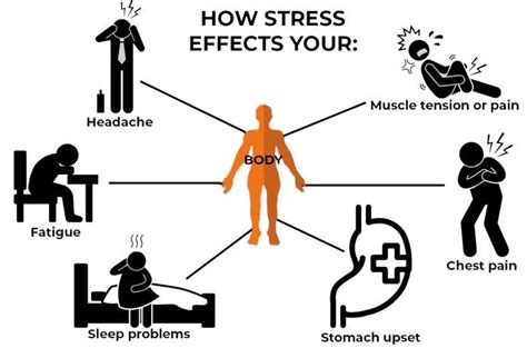 Stress Management And The Bodys Health Push As Rx