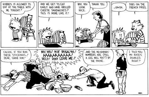 Calvin And Hobbes Comic Strip