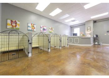 < image 1 of 1 >. 3 Best Pet Grooming in Lafayette, LA - Expert Recommendations