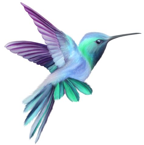 Download Watercolor Flying Hummingbird Free Hq Image Hq Png Image