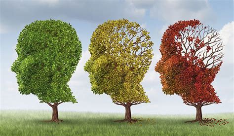 Каква е разликата между Деменция болестта на Алцхаймер