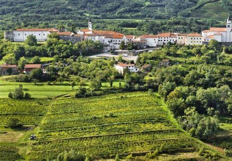 Lonely Planet Lists Vipava Valley Among Best In Europe I Feel Slovenia