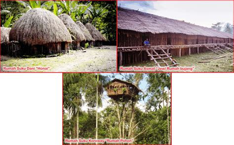 Detail Rumah Adat Provinsi Papua Koleksi Nomer 30