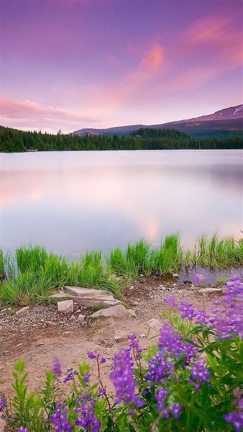 20 Peaceful Nature Iphone Wallpapers Wallpaperboat
