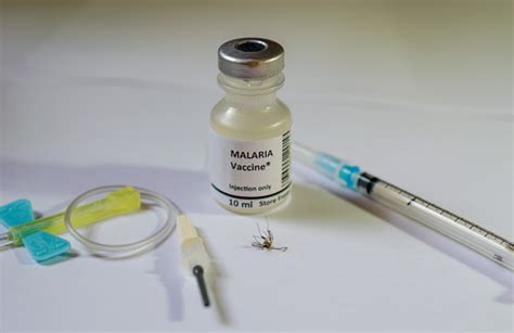 Malaria Parasite Vaccine And Mosquito Stock Photo Download Image Now