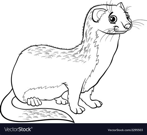 Weasel Animal Cartoon Coloring Book Royalty Free Vector