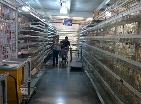 Look The Fruits Of Socialism Venezuelan Food Lines