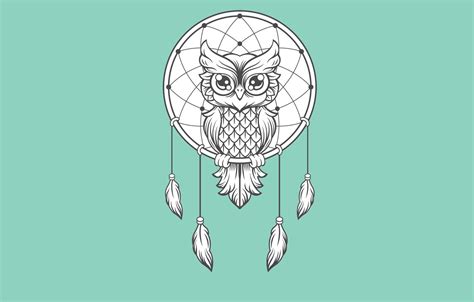 Wallpaper Owl Bird Minimalism Light Background Owl Dreamcatcher