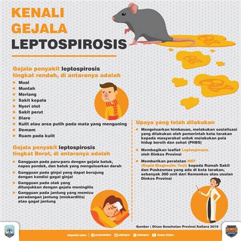 Apa Itu Leptospirosis Penyakit Yang Sedang Viral Awas Kenali Tanda My