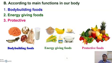Classification Of Food And Nutrients Youtube
