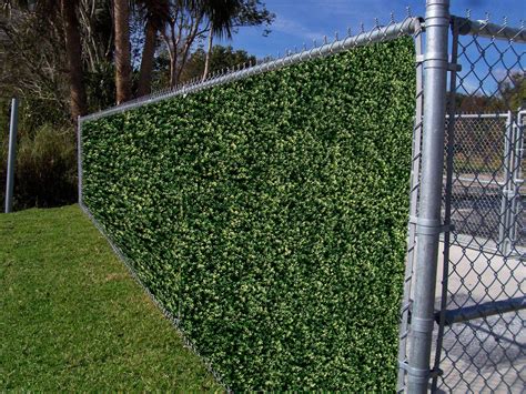 Best Plant Privacy Fence For Small Room Home Decorating Ideas